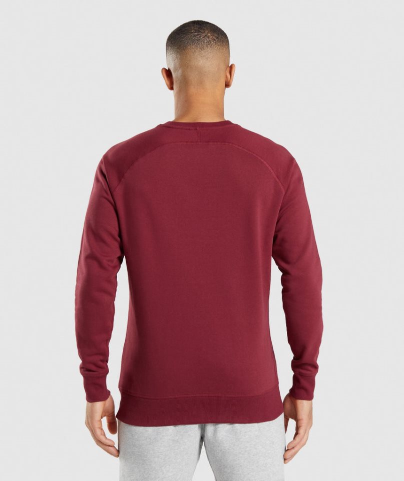 Gymshark Crest Férfi Pulóverek Bordó | HU-X-193