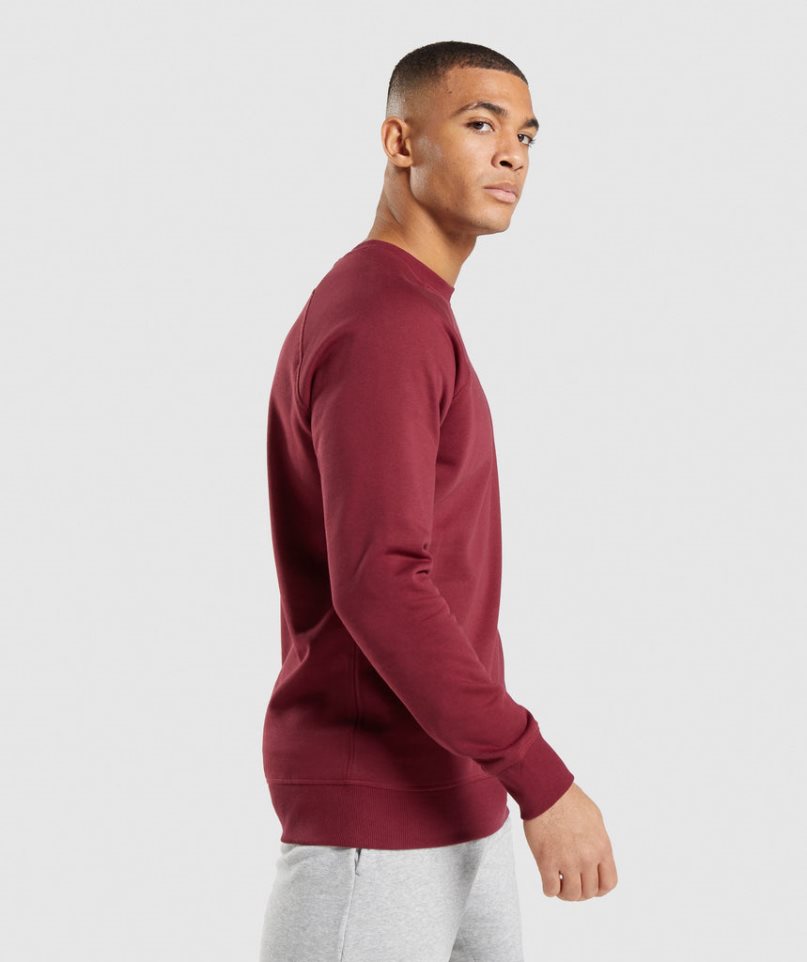 Gymshark Crest Férfi Pulóverek Bordó | HU-X-193