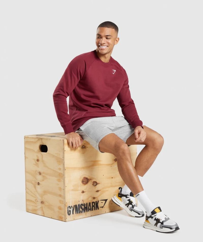 Gymshark Crest Férfi Pulóverek Bordó | HU-X-193