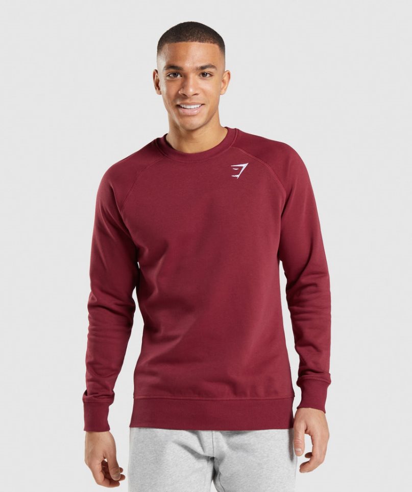 Gymshark Crest Férfi Pulóverek Bordó | HU-X-193