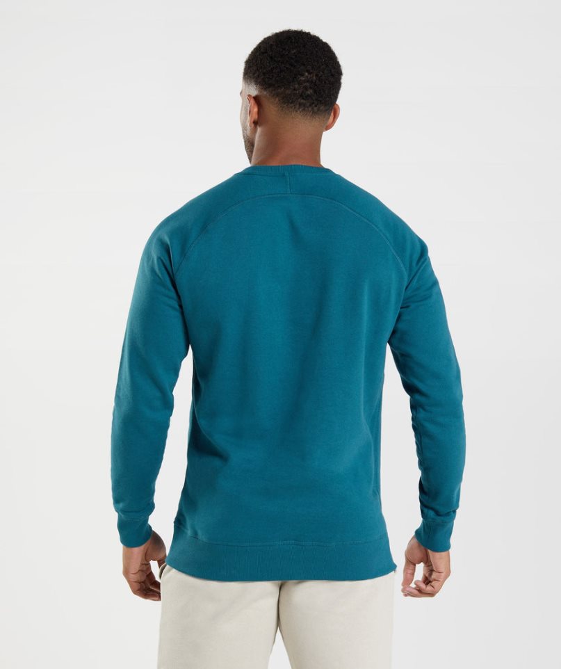 Gymshark Crest Férfi Pulóverek Kék | HU-T-903