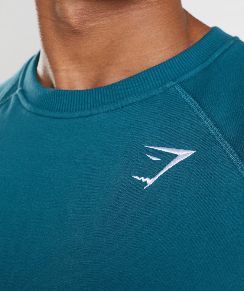 Gymshark Crest Férfi Pulóverek Kék | HU-T-903