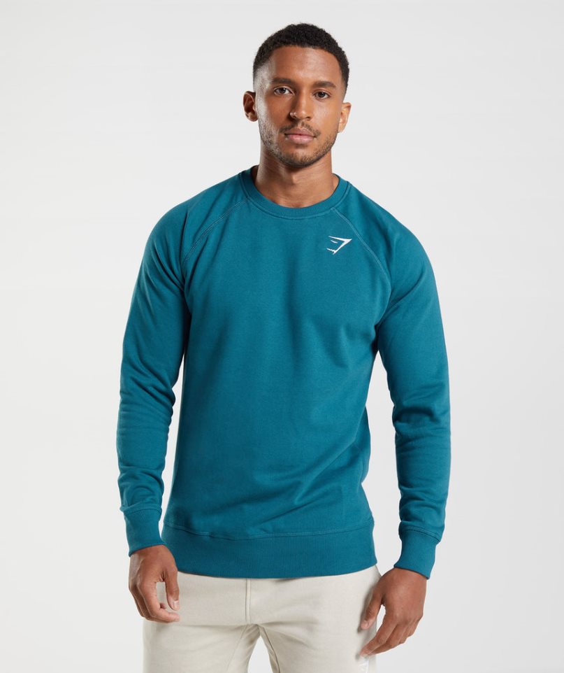 Gymshark Crest Férfi Pulóverek Kék | HU-T-903