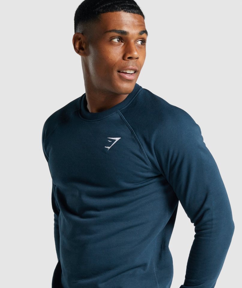 Gymshark Crest Férfi Pulóverek Sötétkék | HU-Q-643