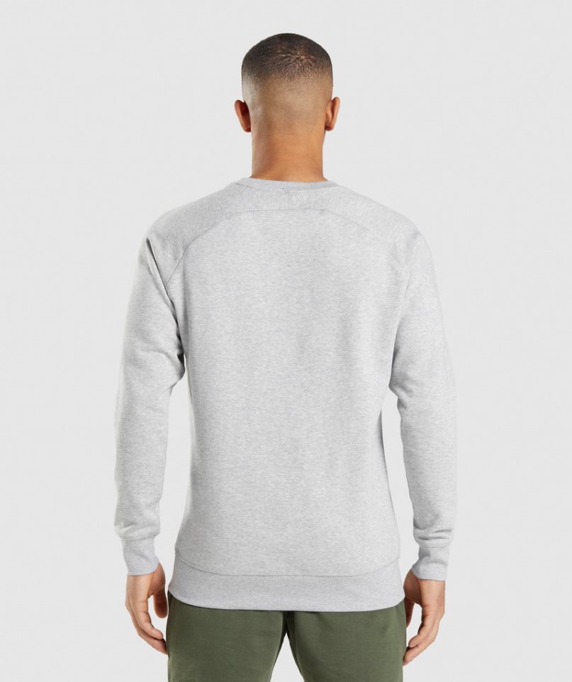 Gymshark Crest Férfi Pulóverek Világos Szürke | HU-U-642
