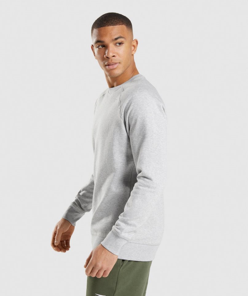 Gymshark Crest Férfi Pulóverek Világos Szürke | HU-U-642
