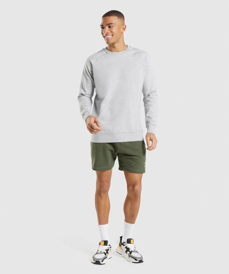 Gymshark Crest Férfi Pulóverek Világos Szürke | HU-U-642