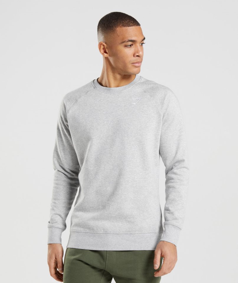 Gymshark Crest Férfi Pulóverek Világos Szürke | HU-U-642