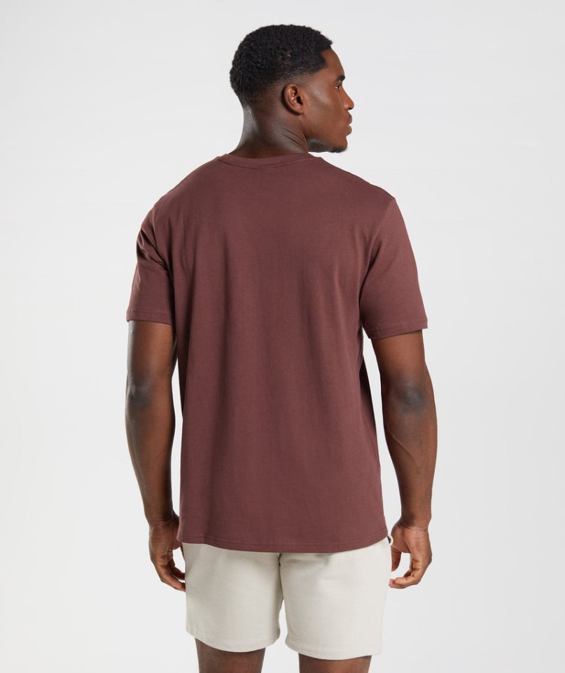 Gymshark Crest Férfi Póló Barna | HU-X-902