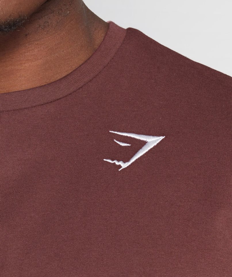 Gymshark Crest Férfi Póló Barna | HU-X-902