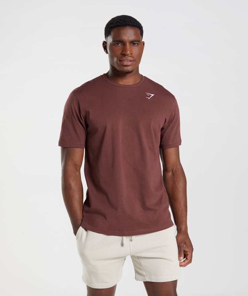 Gymshark Crest Férfi Póló Barna | HU-X-902