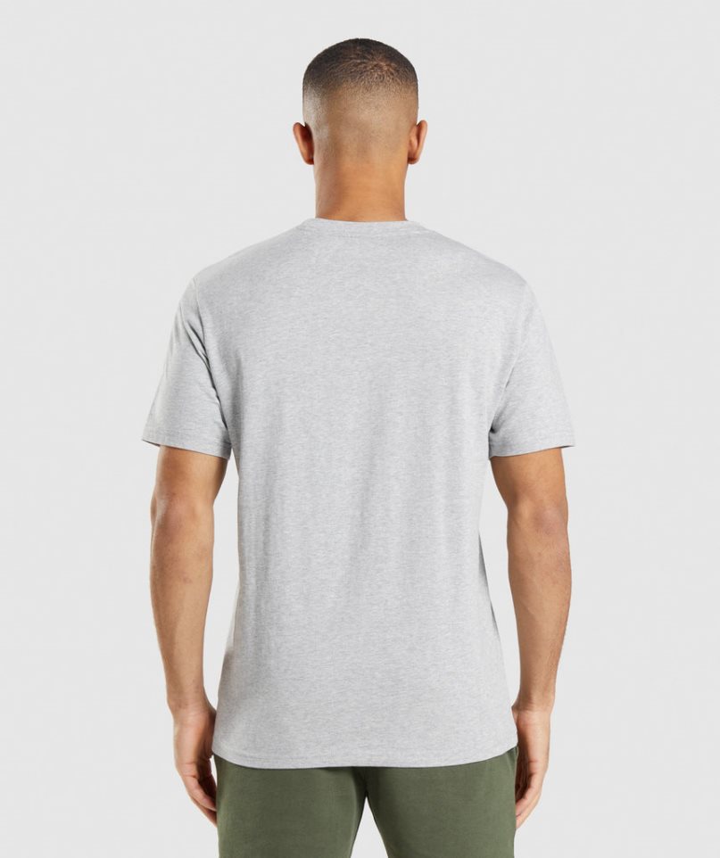 Gymshark Crest Férfi Póló Világos Szürke | HU-H-598