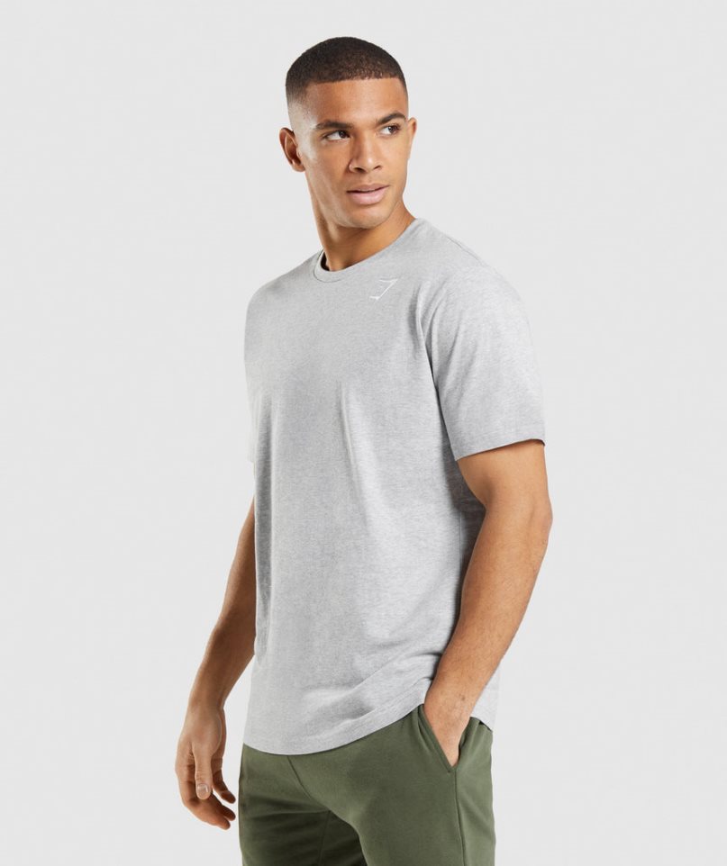 Gymshark Crest Férfi Póló Világos Szürke | HU-H-598