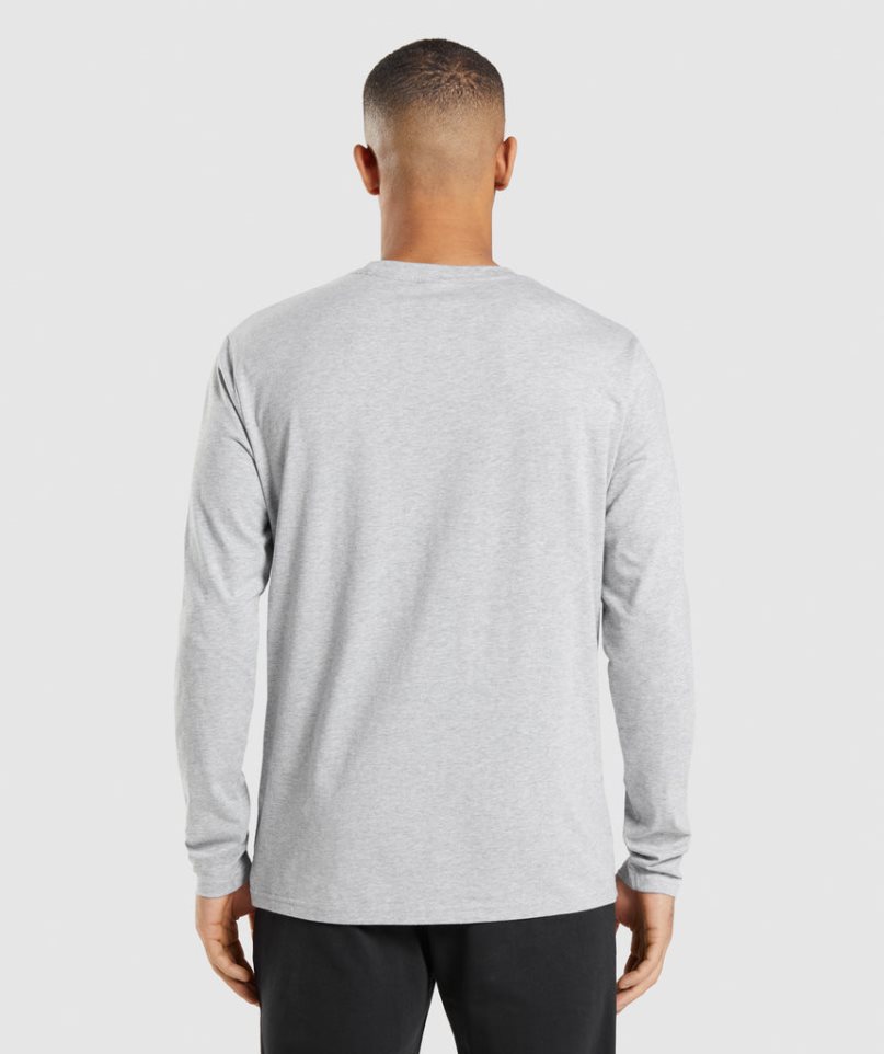 Gymshark Crest Long Sleeve Férfi Póló Világos Szürke | HU-D-982