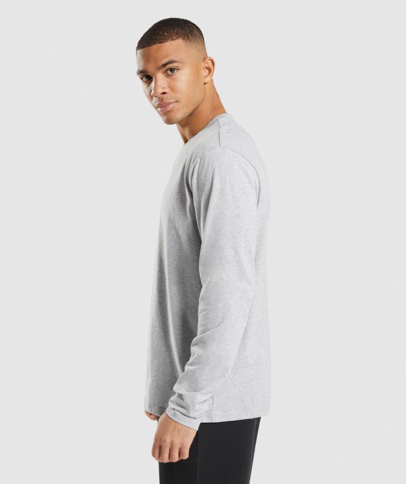 Gymshark Crest Long Sleeve Férfi Póló Világos Szürke | HU-D-982