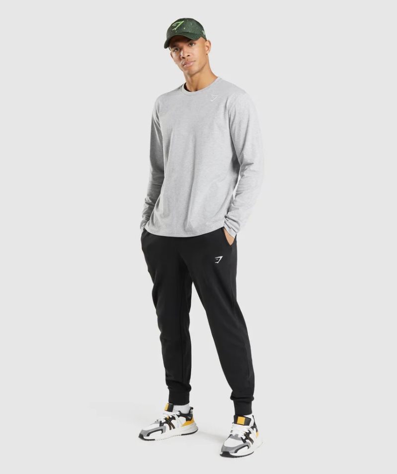 Gymshark Crest Long Sleeve Férfi Póló Világos Szürke | HU-D-982