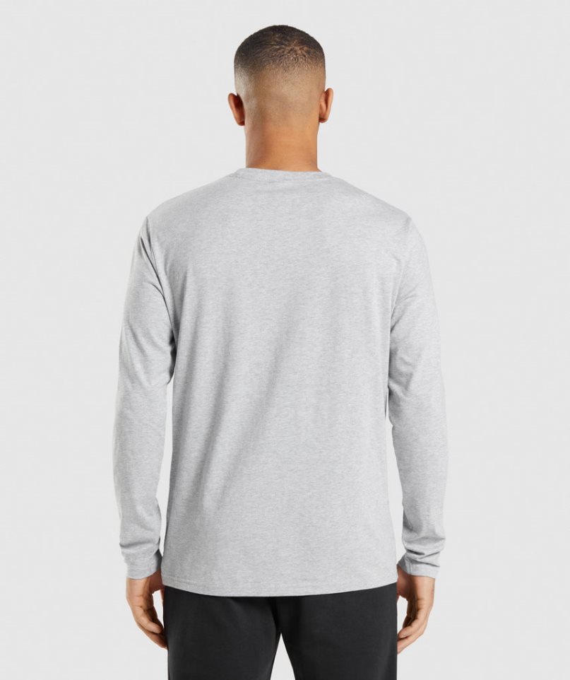 Gymshark Crest Long Sleeve Férfi Póló Világos Szürke | HU-Y-452