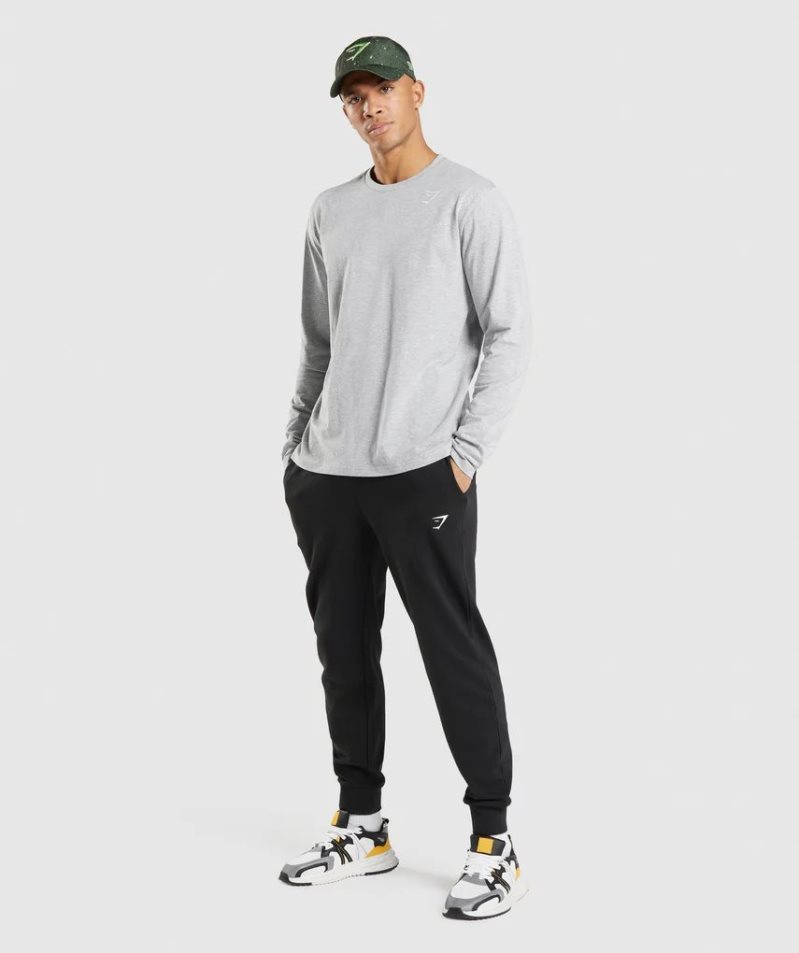 Gymshark Crest Long Sleeve Férfi Póló Világos Szürke | HU-Y-452
