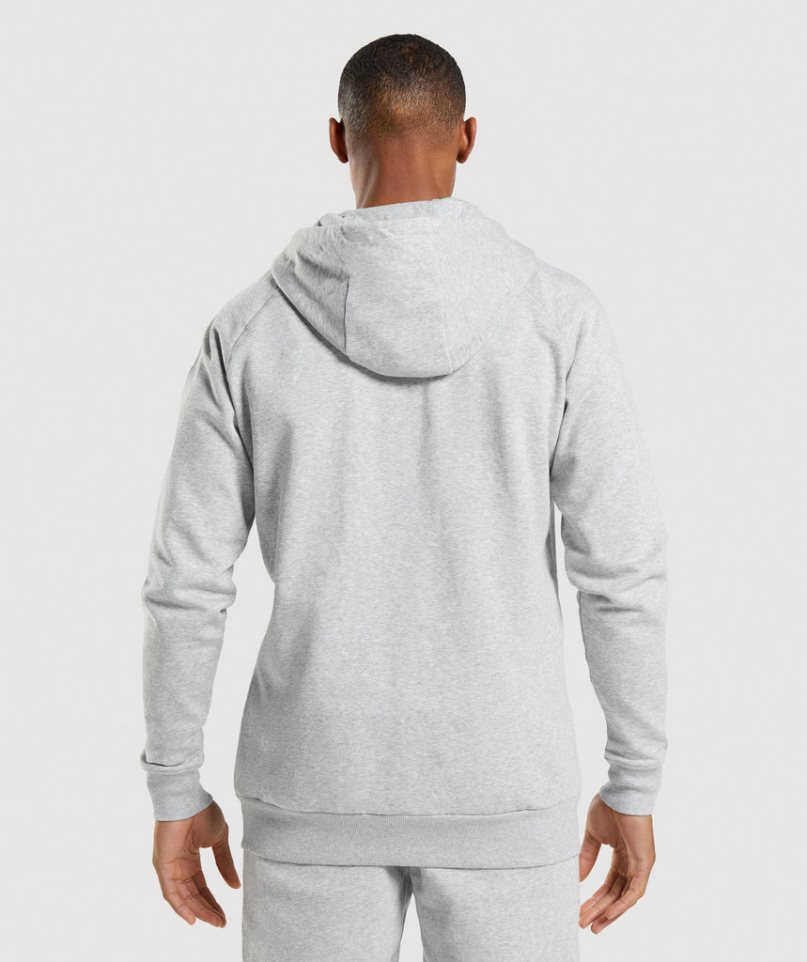 Gymshark Crest Zip Up Férfi Kapucnis Pulóver Világos Szürke | HU-E-127