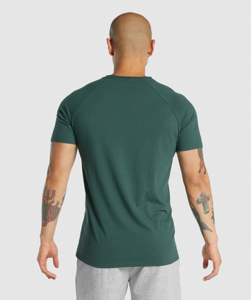 Gymshark Critical 2.0 Férfi Póló Sötétzöld | HU-U-384