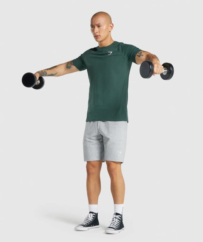 Gymshark Critical 2.0 Férfi Póló Sötétzöld | HU-U-384
