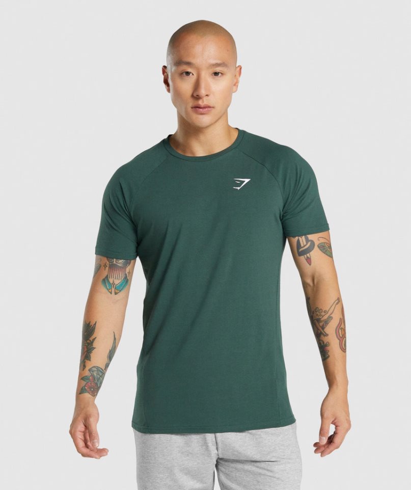 Gymshark Critical 2.0 Férfi Póló Sötétzöld | HU-U-384