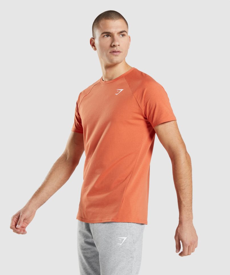 Gymshark Critical Férfi Póló Narancssárga | HU-E-312