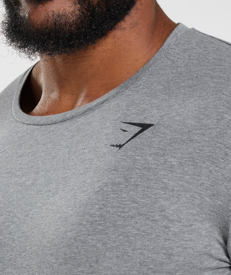Gymshark Essential Férfi Póló Szürke | HU-H-014