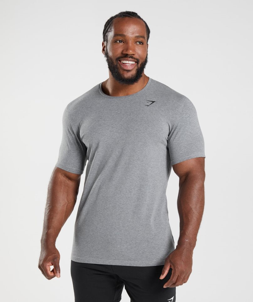Gymshark Essential Férfi Póló Szürke | HU-H-014