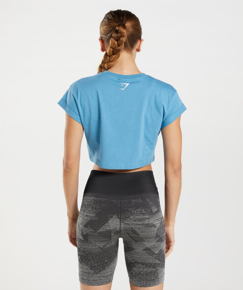 Gymshark Fraction Női Vágott Felsők Kék | HU-R-760