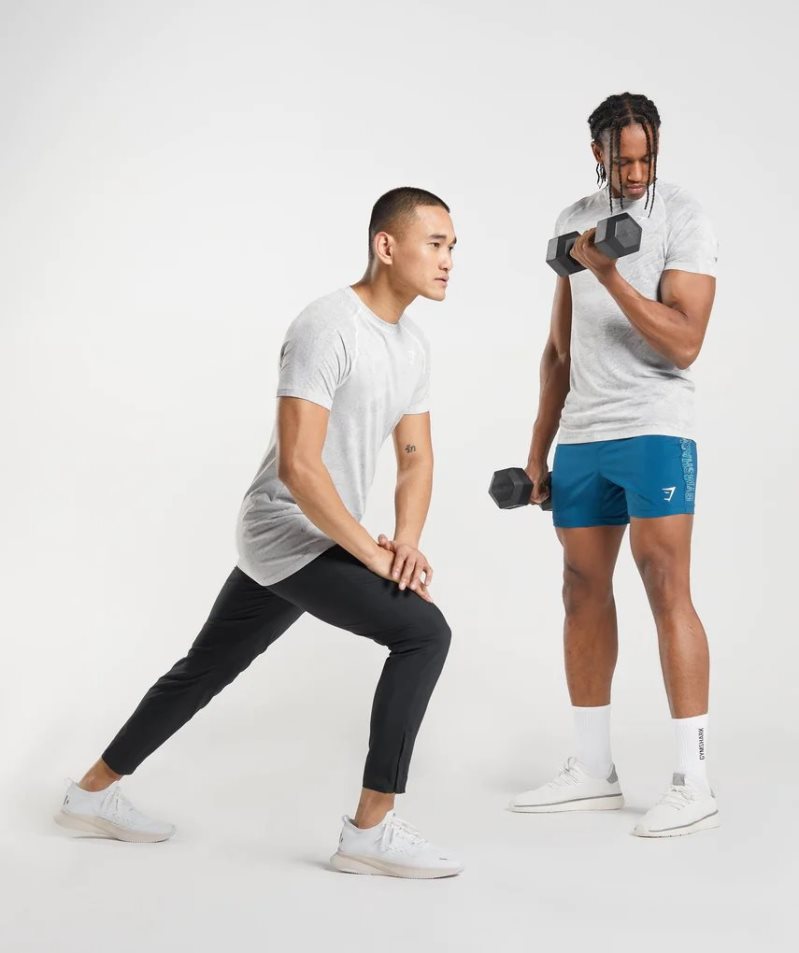 Gymshark Geo Seamless Férfi Póló Világos Szürke | HU-V-304