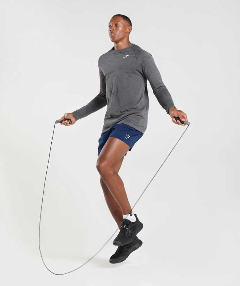 Gymshark Geo Seamless Long Sleeve Férfi Póló Szürke | HU-F-931