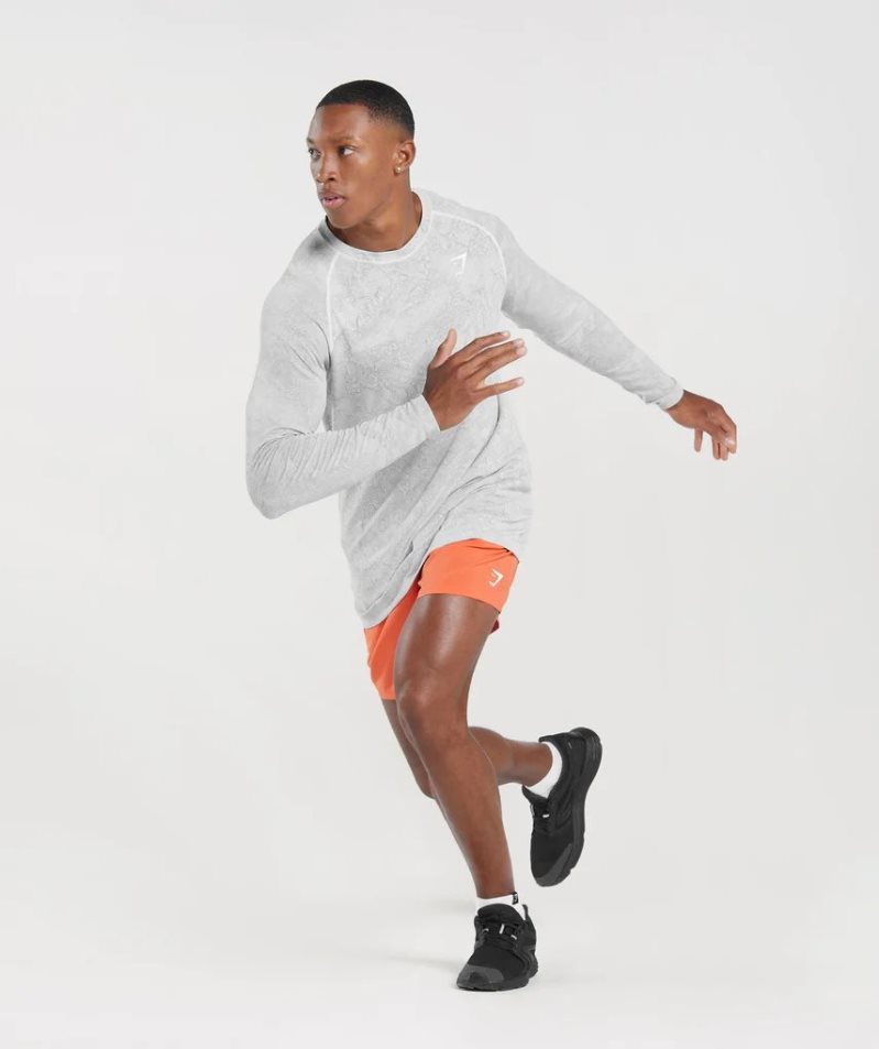 Gymshark Geo Seamless Long Sleeve Férfi Póló Világos Szürke | HU-Q-917