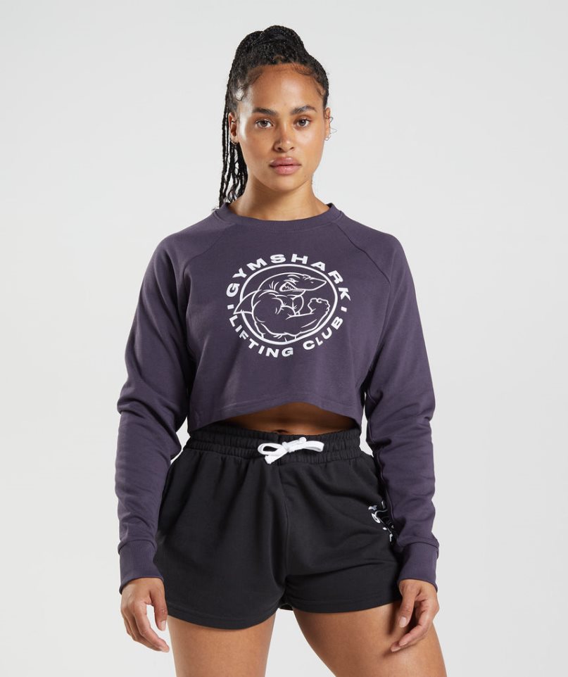 Gymshark Legacy Cropped Női Pulóverek Lila | HU-U-019