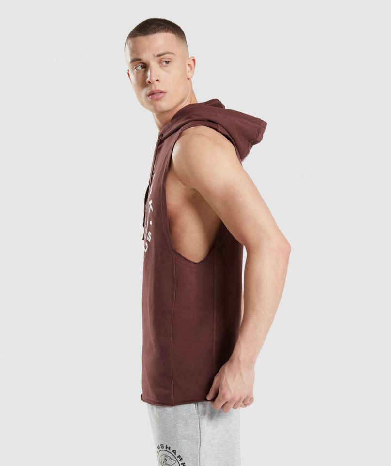 Gymshark Legacy Drop Arm Férfi Kapucnis Pulóver Barna | HU-P-780