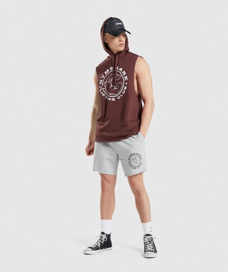 Gymshark Legacy Drop Arm Férfi Kapucnis Pulóver Barna | HU-P-780