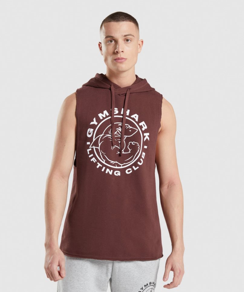 Gymshark Legacy Drop Arm Férfi Kapucnis Pulóver Barna | HU-P-780