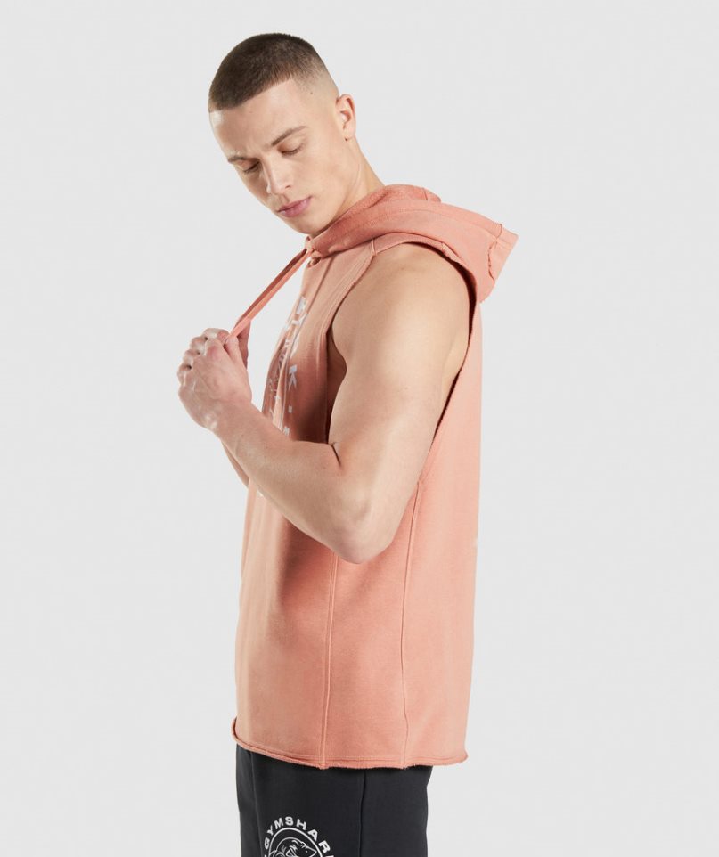 Gymshark Legacy Drop Arm Férfi Kapucnis Pulóver Rózsaszín | HU-P-905