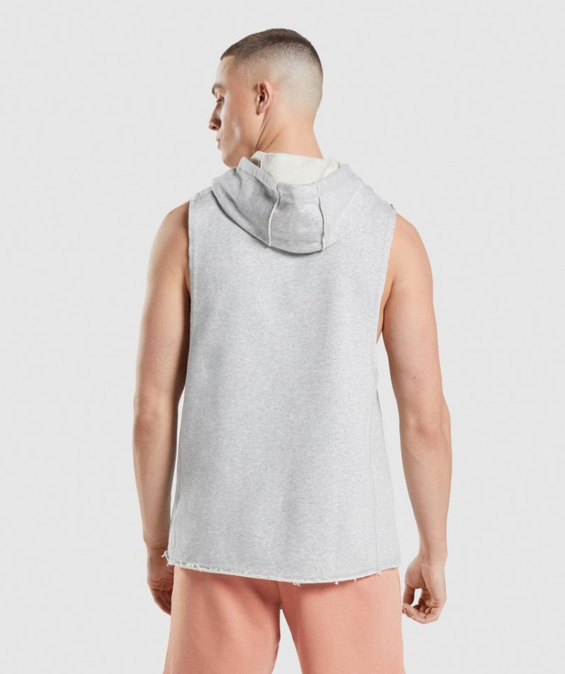 Gymshark Legacy Drop Arm Férfi Kapucnis Pulóver Világos Szürke | HU-Y-697