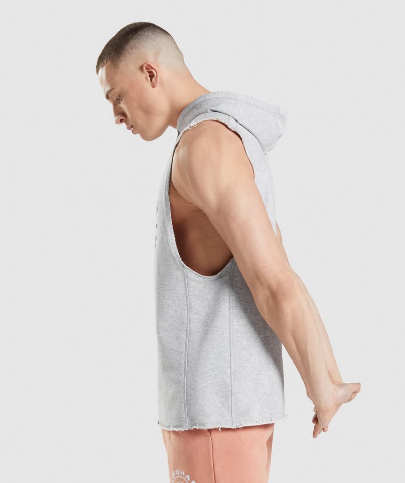 Gymshark Legacy Drop Arm Férfi Kapucnis Pulóver Világos Szürke | HU-Y-697