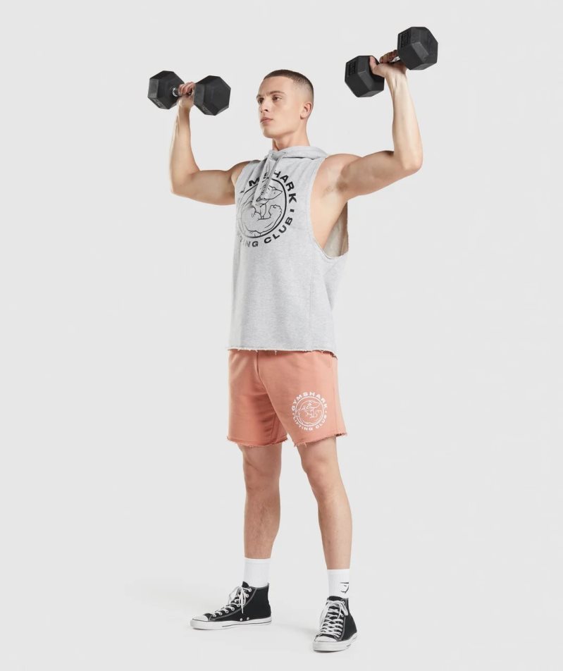 Gymshark Legacy Drop Arm Férfi Kapucnis Pulóver Világos Szürke | HU-Y-697