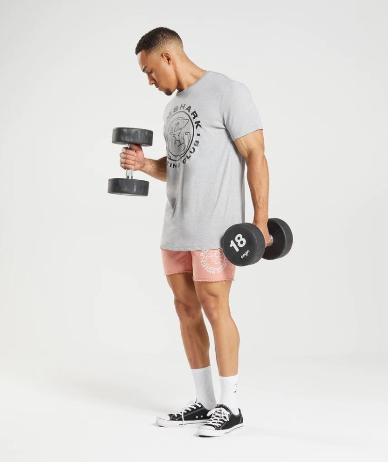 Gymshark Legacy Férfi Póló Világos Szürke | HU-T-528
