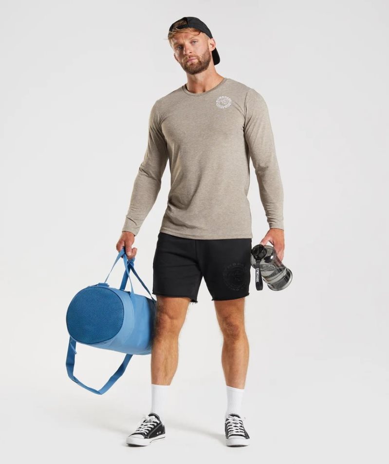Gymshark Legacy Long Sleeve Férfi Póló Szürke | HU-X-354