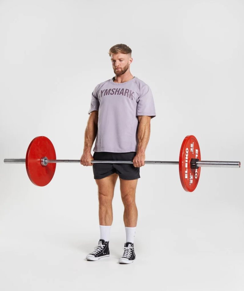 Gymshark Power Washed Rag Top Férfi Póló Lila | HU-Z-719
