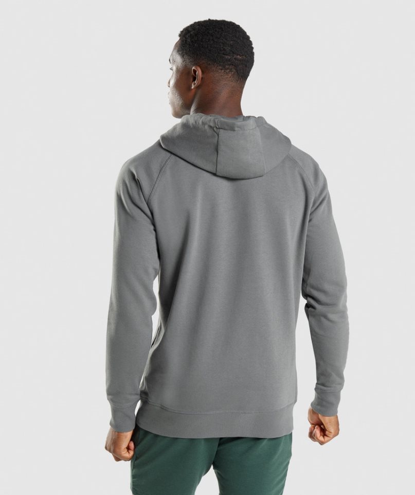 Gymshark Sharkhead Infill Férfi Kapucnis Pulóver Szürke | HU-V-068