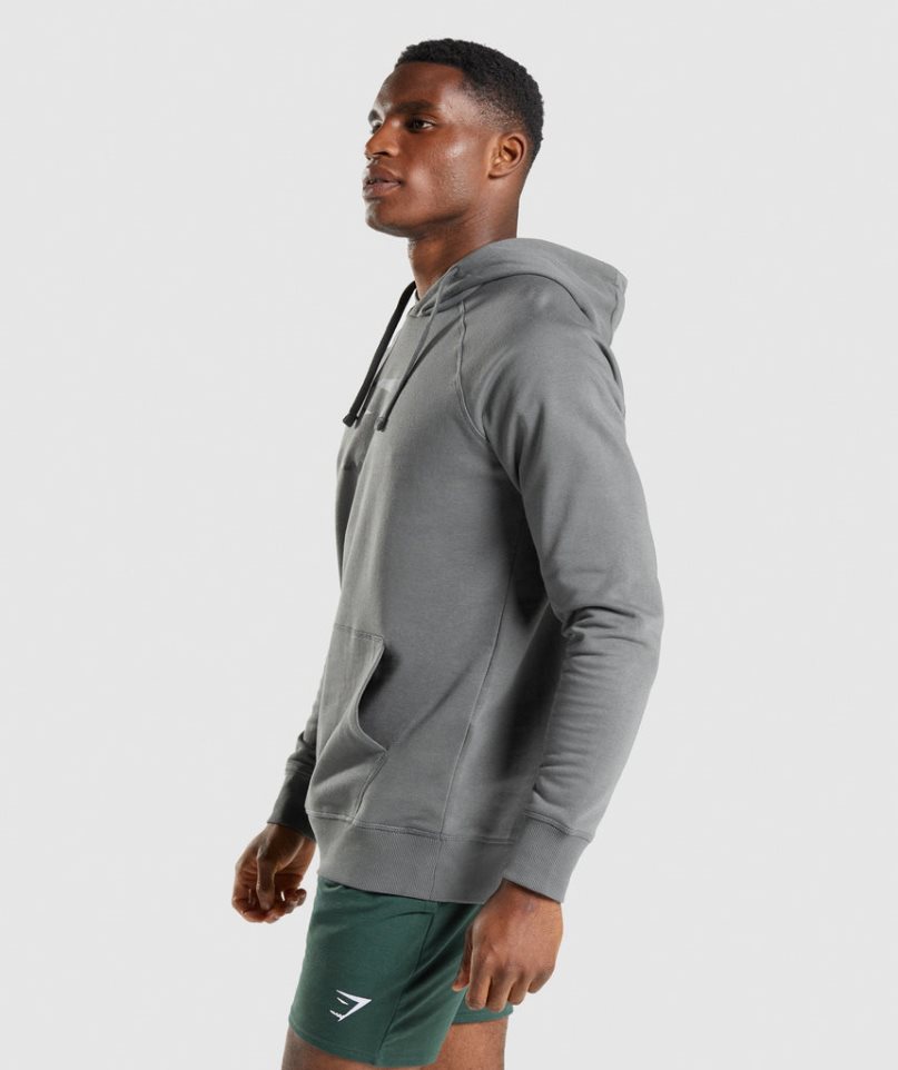 Gymshark Sharkhead Infill Férfi Kapucnis Pulóver Szürke | HU-V-068