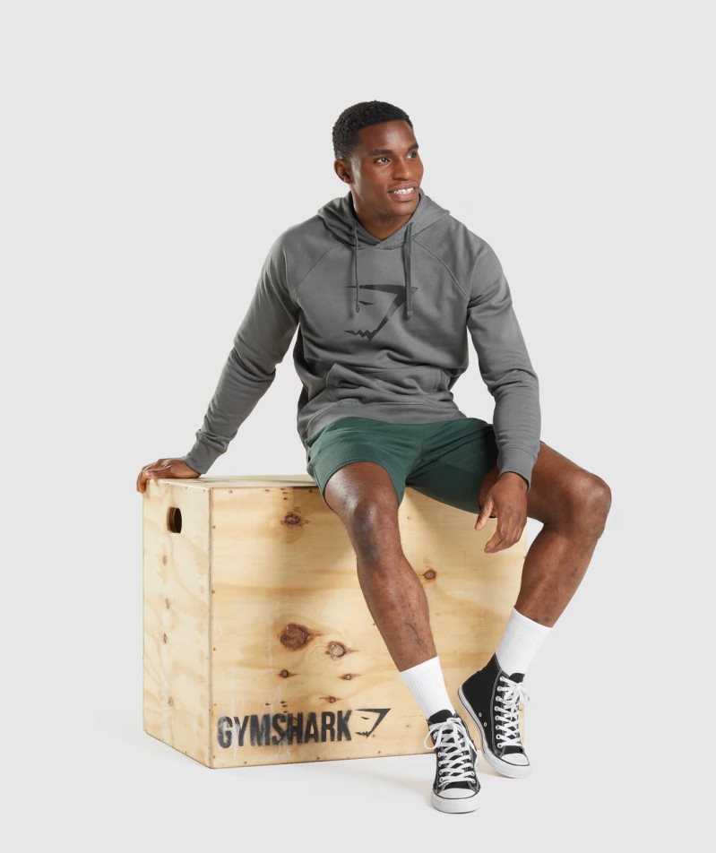 Gymshark Sharkhead Infill Férfi Kapucnis Pulóver Szürke | HU-V-068