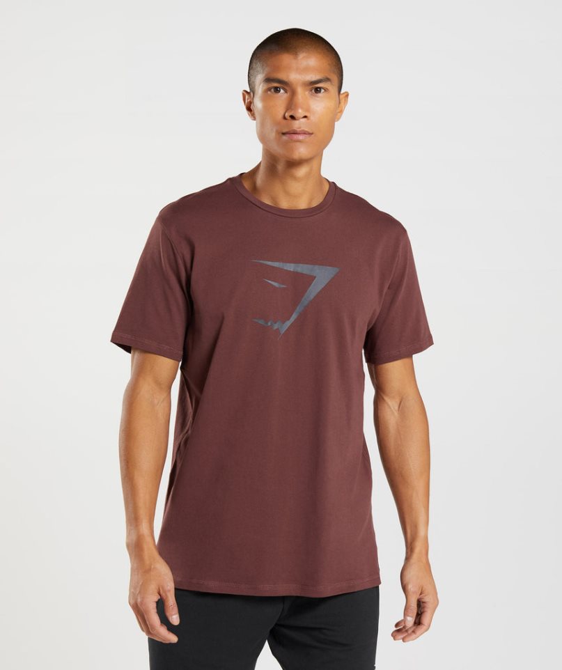 Gymshark Sharkhead Infill Férfi Póló Barna | HU-S-840