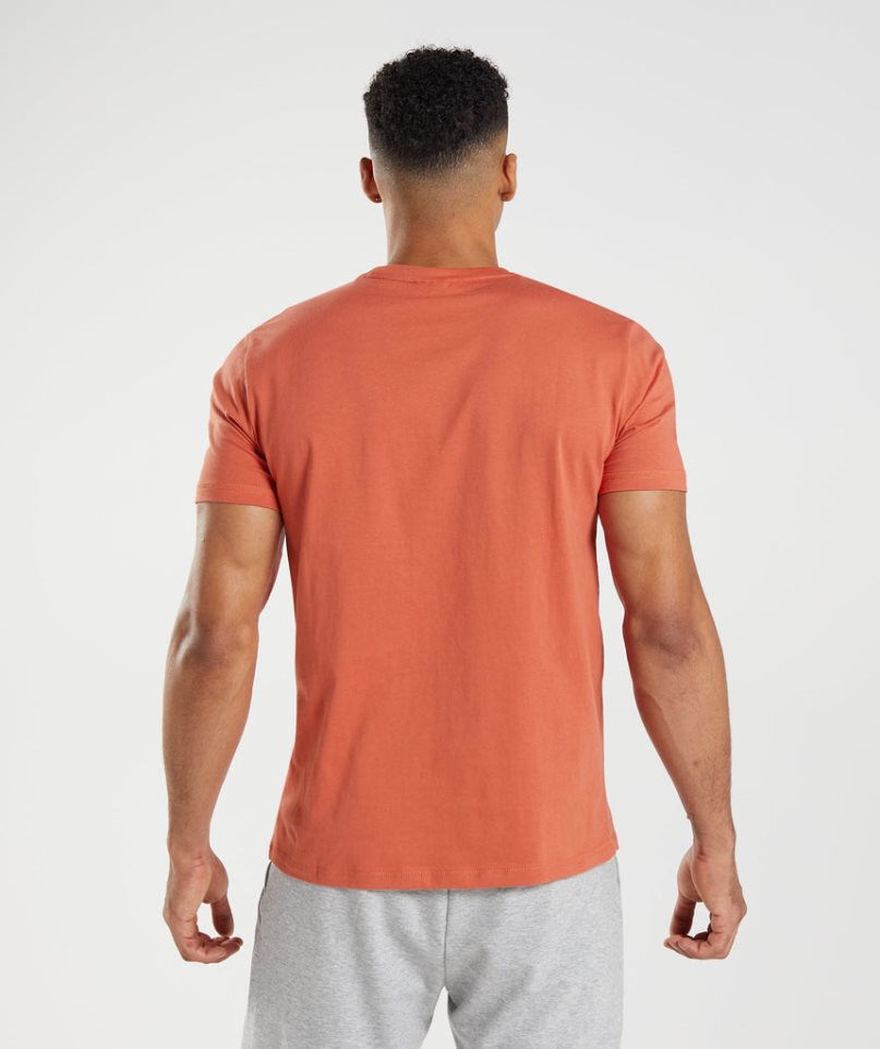 Gymshark Sharkhead Infill Férfi Póló Narancssárga | HU-X-786