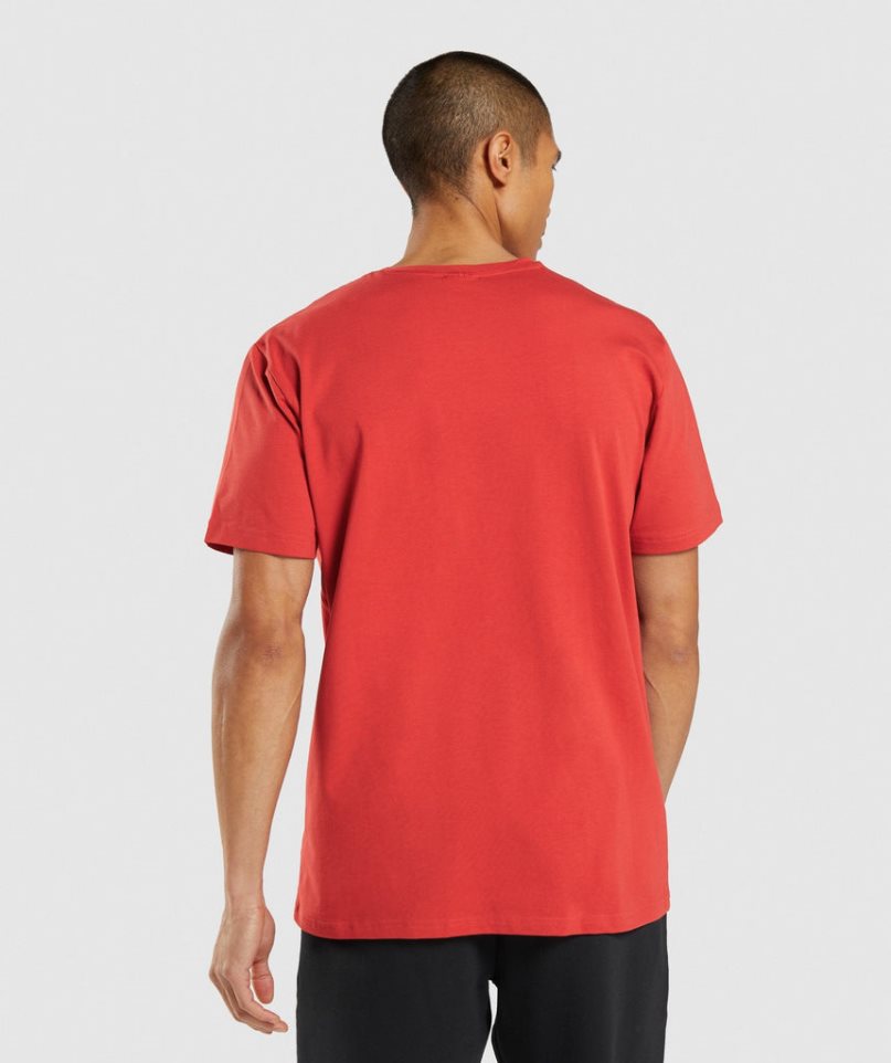 Gymshark Sharkhead Infill Férfi Póló Piros | HU-X-560